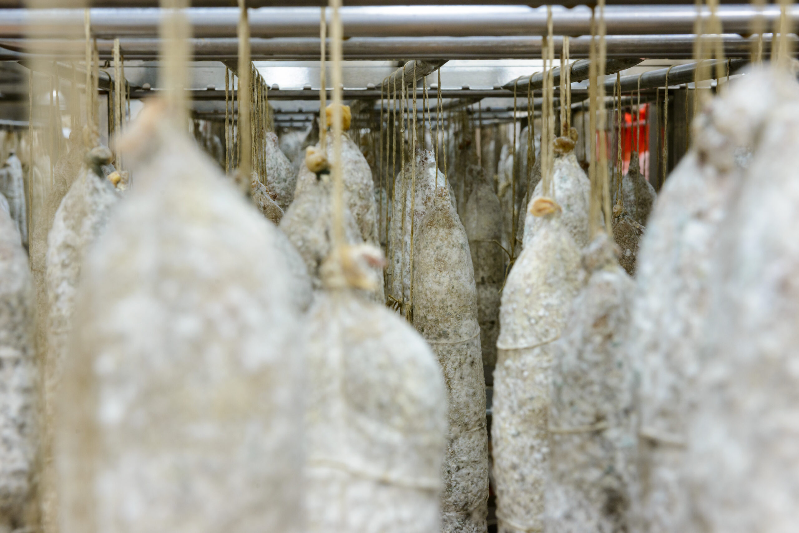 Salumi durante il processo di stagionatura nel Gruppo Azzoni