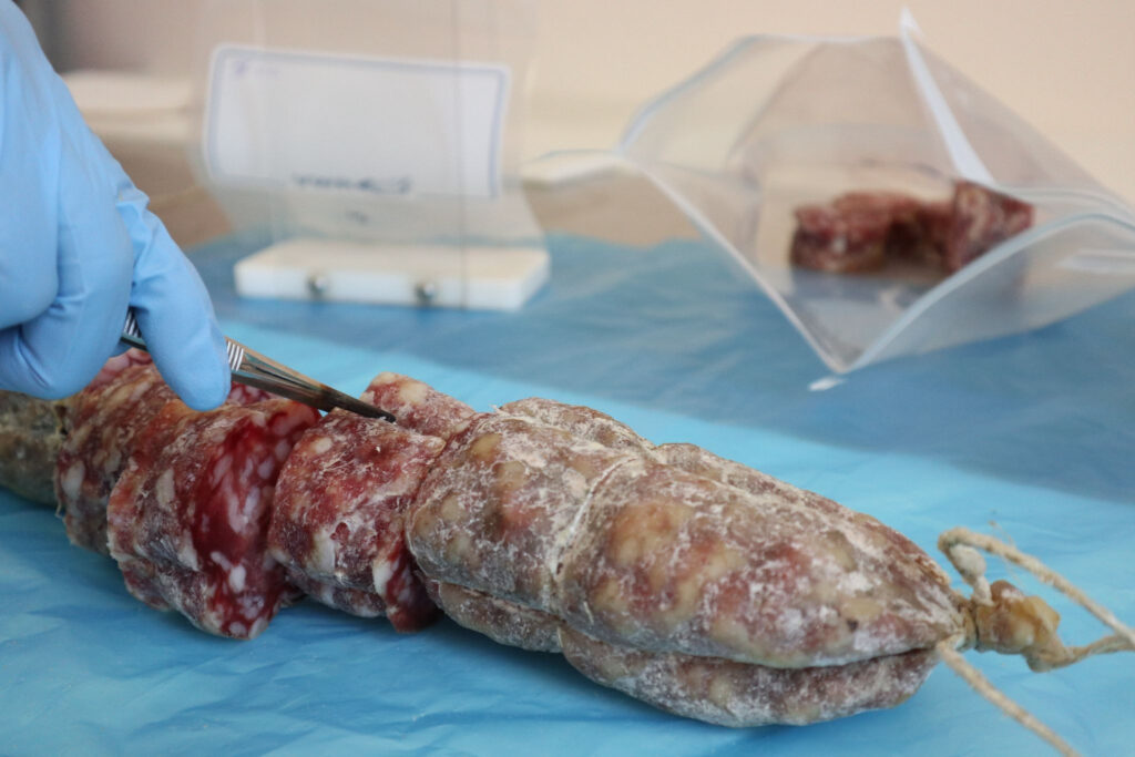 Analisi di un salame al termine del processo di stagionatura